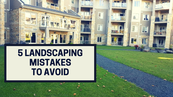 5 Landscaping Mistakes To Avoid
